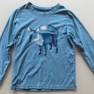 Two (2) Tea Collection Boys long sleeve tee-shirts, size 8